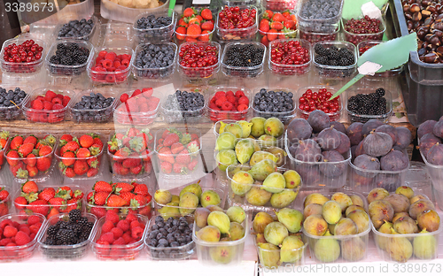 Image of Berries Fruits