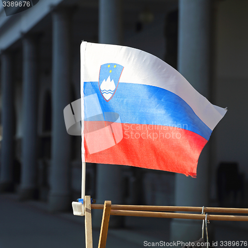 Image of Slovenia Flag