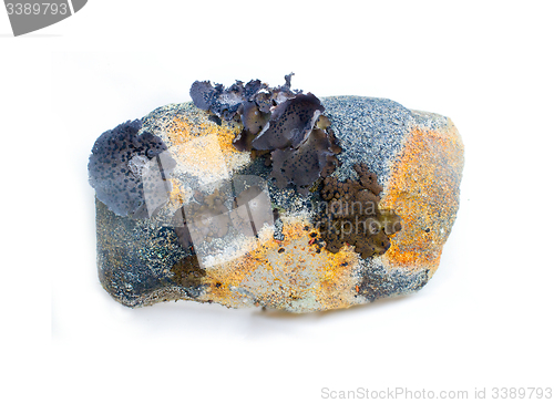 Image of stone from the mountains tundra on a white background