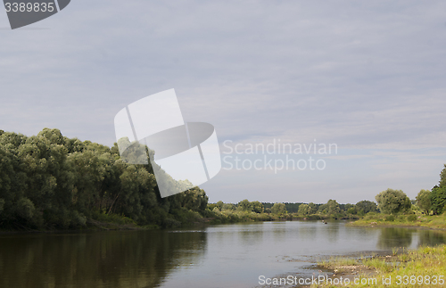 Image of Lower bank of Desna river