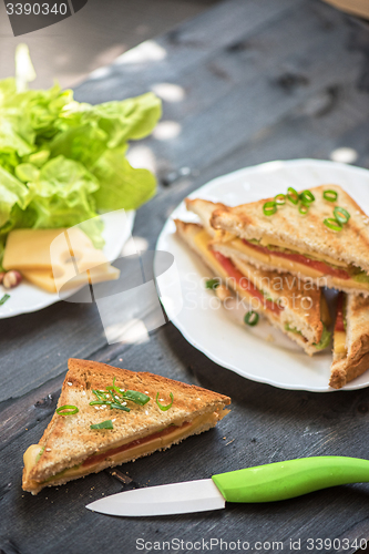 Image of Cheese sandwich