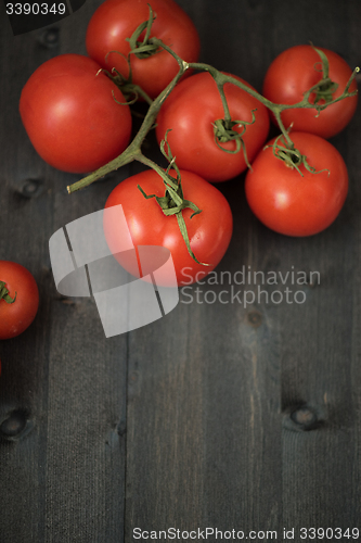 Image of Fresh tomatoes 