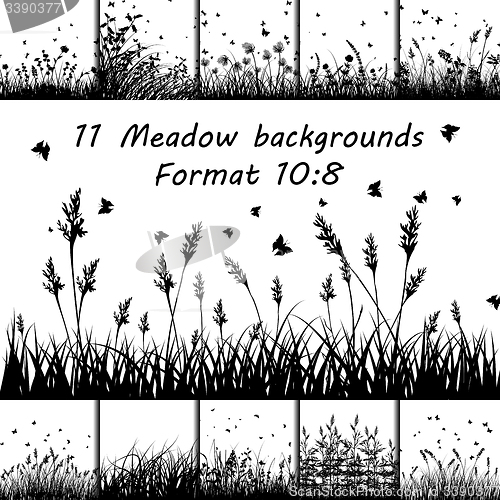 Image of Set of Meadow backgrounds