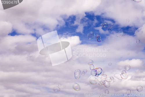 Image of Soap Bubbles Flying In A Gust Of Wind\r