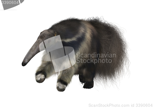 Image of Giant Anteater