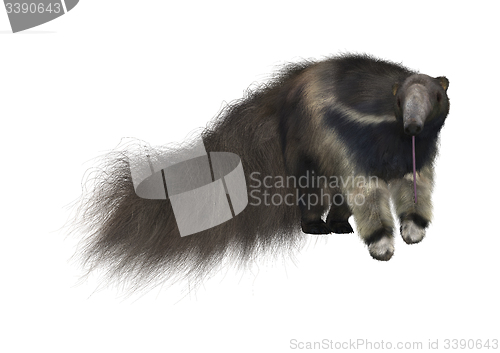 Image of Giant Anteater