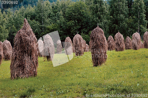 Image of haystacks in field, Finland