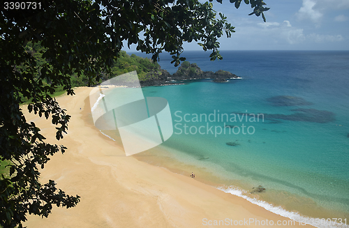 Image of Crystalline sea beach in Fernando de Noronha,Brazil