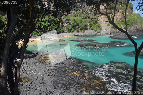 Image of Crystalline sea beach in Fernando de Noronha,Brazil