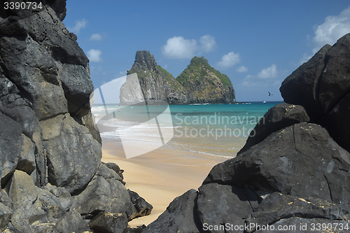 Image of Crystalline sea beach in Fernando de Noronha,Brazil