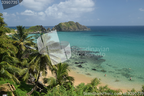 Image of Crystalline sea beach in Fernando de Noronha,Brazil