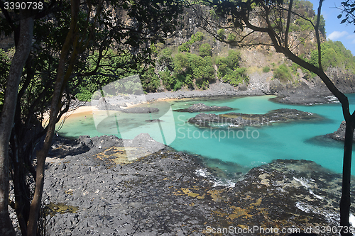 Image of Crystalline sea beach in Fernando de Noronha,Brazil