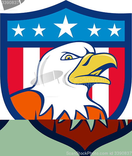 Image of American Bald Eagle Head Angry Flag Crest Cartoon 