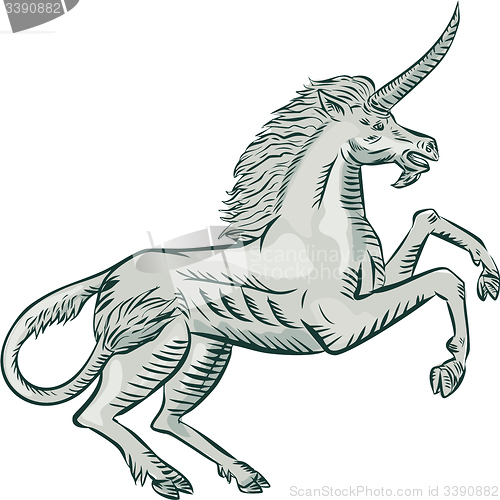 Image of Unicorn Horse Prancing Side Etching