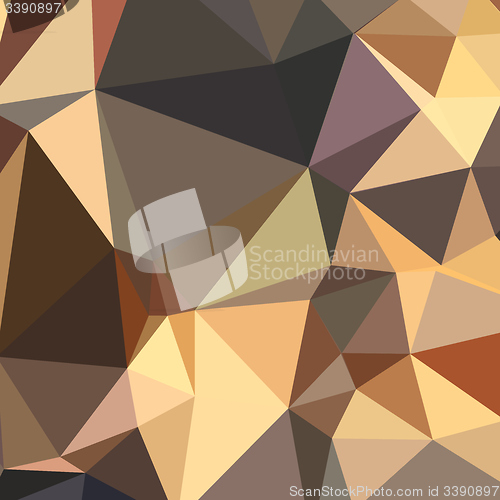 Image of Bole Brown Abstract Low Polygon Background