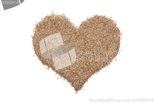 Image of Grass seeds in a heart shape