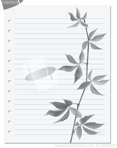 Image of Exercise book with black-white virginia creeper twig