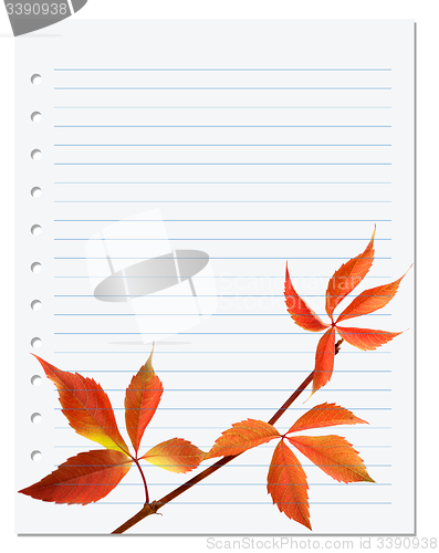 Image of Exercise book with autumnal virginia creeper leaf 