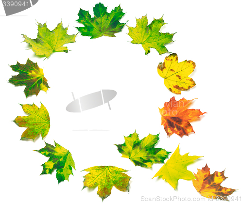 Image of Letter Q composed of multicolor maple leafs