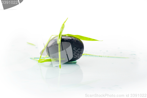 Image of stone in green grass isolated