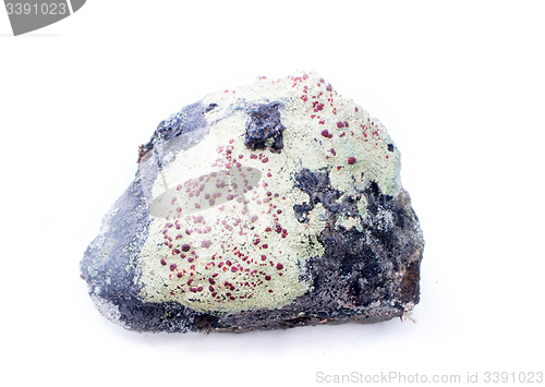 Image of stone from the mountains tundra on a white background