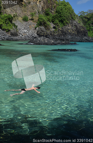 Image of Diving in a crystalline sea beach in Fernando de Noronha,Brazil