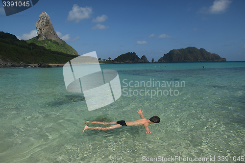 Image of Diving in a crystalline sea beach in Fernando de Noronha,Brazil