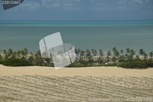 Image of Crystalline sea beach in Natal,Brazil