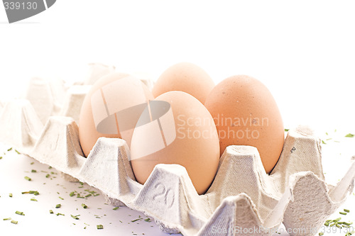 Image of Eggs in carton