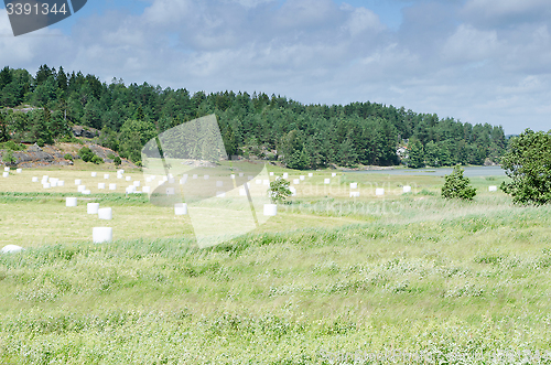 Image of Ensilage