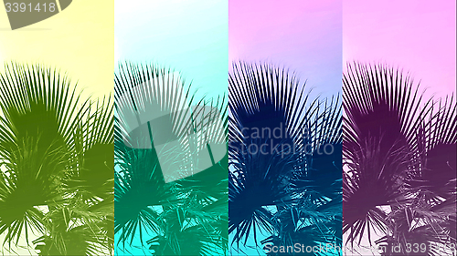 Image of Abstract color background with palm