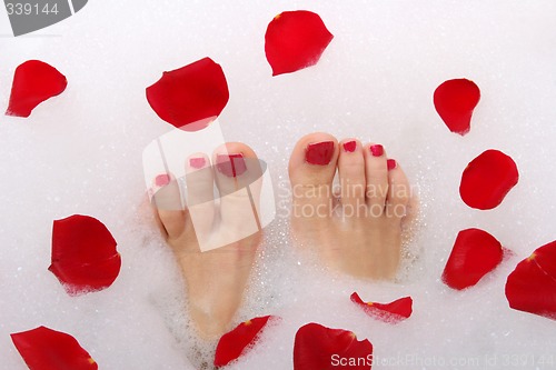 Image of Feet and red rose petals