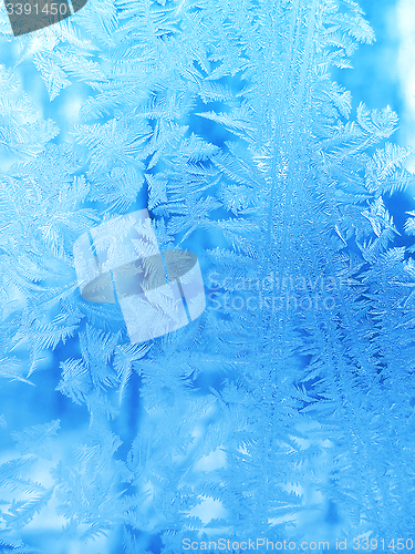 Image of Ice pattern on winter glass