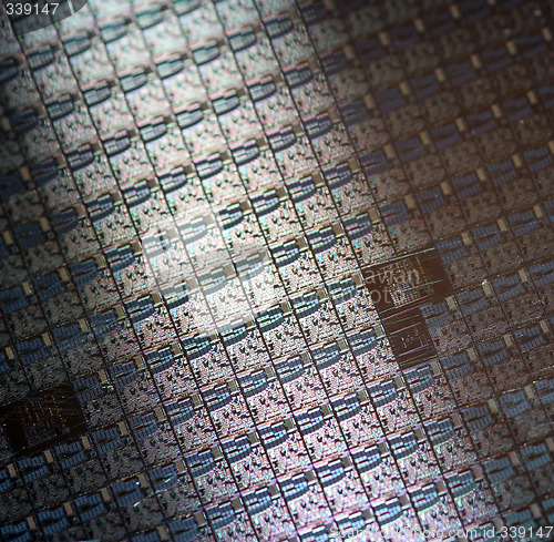 Image of silikon microchips