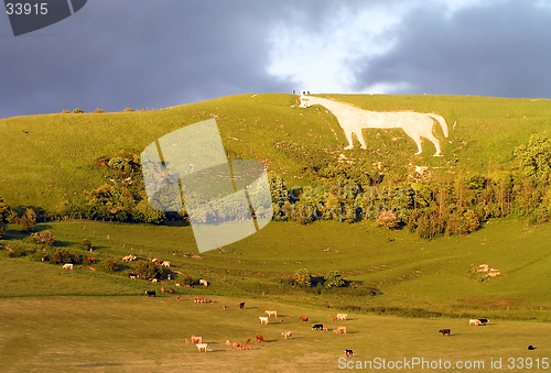 Image of Westbury white horse