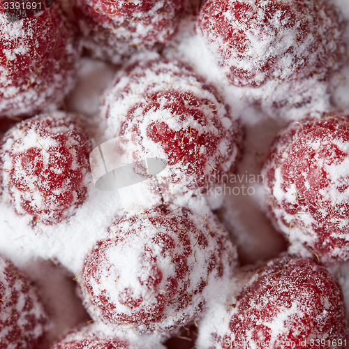 Image of Home made tartlets with raspberries