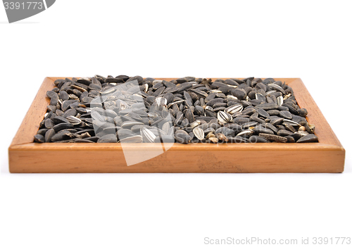 Image of Bird seed in frame