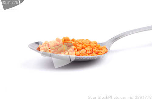 Image of Red lentils on spoon