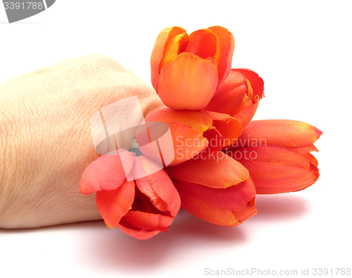 Image of Hand with plastic tulips