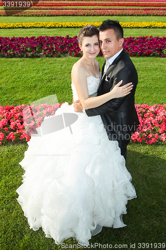 Image of Bride and groom posing on lawn