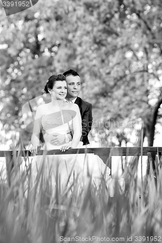 Image of Married couple posing in nature bw