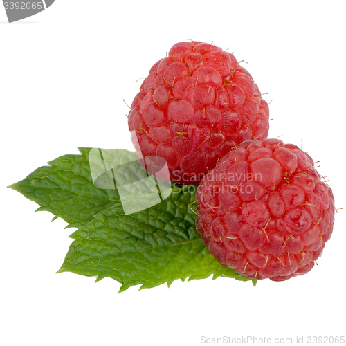 Image of Ripe red raspberry