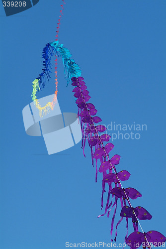 Image of String of kites