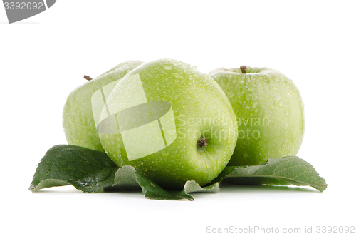 Image of Three fresh green apples