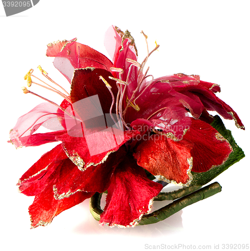 Image of Christmas decoration