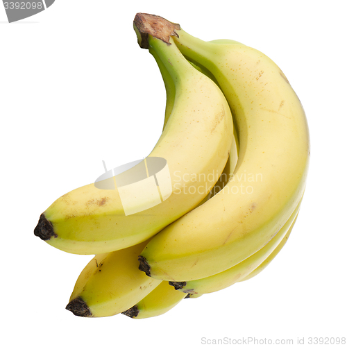 Image of Bunch of bananas