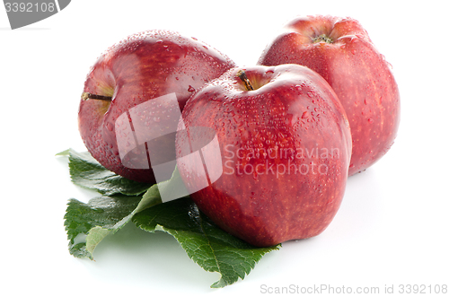 Image of Ripe red apples