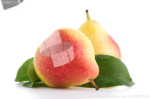Image of Two ripe pears