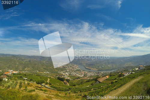 Image of vineyars in Douro Valley