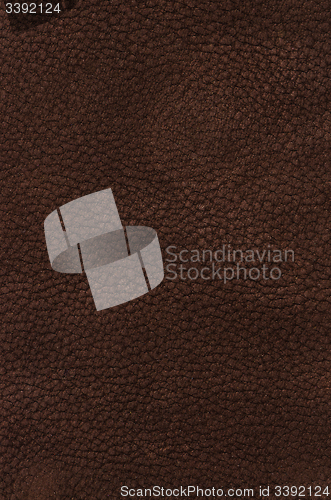 Image of Suede background